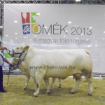 OMÉK 2013 képei