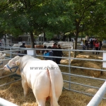 OMÉK 2013 képei