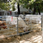 OMÉK 2013 képei