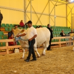 OMÉK 2017