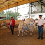 OMÉK 2017