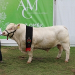 OMÉK 2017