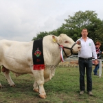 OMÉK 2017
