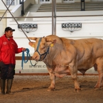 OMÉK 2017