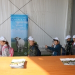 OMÉK 2017