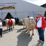 OMÉK 2017