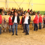 OMÉK 2017