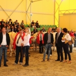 OMÉK 2017