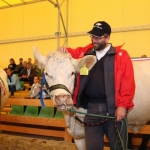 OMÉK 2017