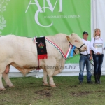 OMÉK 2017