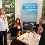 OMÉK 2017
