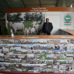 OMÉK 2017