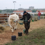 OMÉK 2017