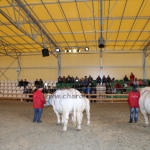 OMÉK 2017