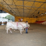 OMÉK 2017