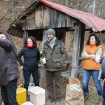 sepsichstvkis141113