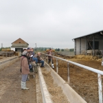 szerencsttsz151006