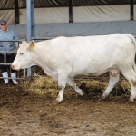 szerencsttsz151006