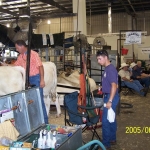 USA Techn. Biz. Ülés 2005, 