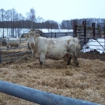 Verden 2006.02.8-13. 