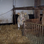 Verden 2006.02.8-13. 
