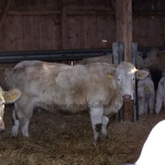 Verden 2006.02.8-13. 