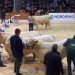 Verden 2006.02.8-13. 