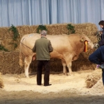 Verden 2006.02.8-13. 
