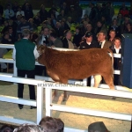 Verden 2006.02.8-13. 