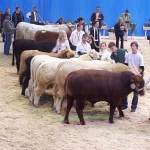 Verden 2006.02.8-13. 