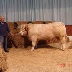 Verden 2006.02.8-13. 