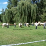WCC2008