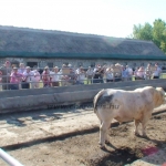 WCC2008