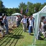 WCC2008