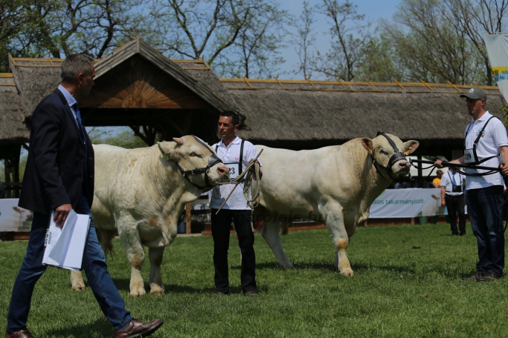 Hódmezővásárhely 2022