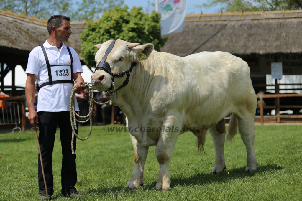 Hódmezővásárhely 2022