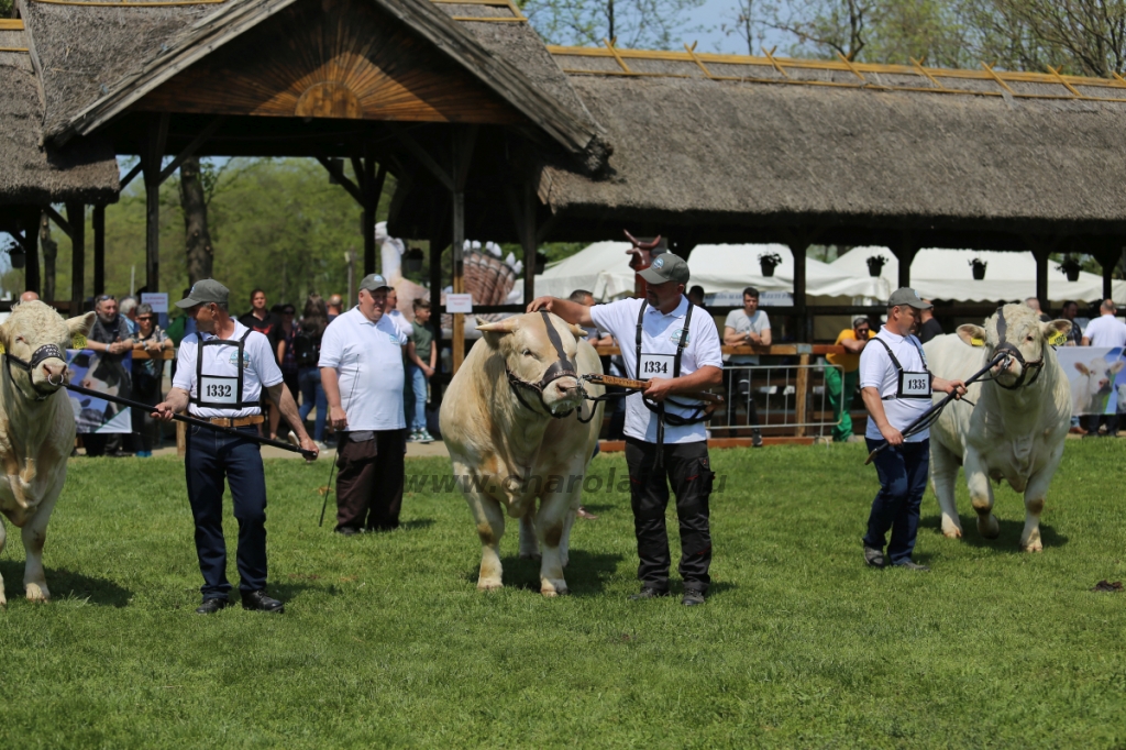 Hódmezővásárhely 2022