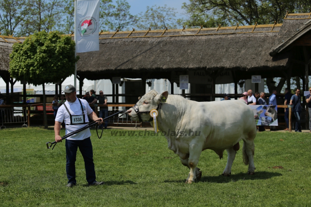 Hódmezővásárhely 2022