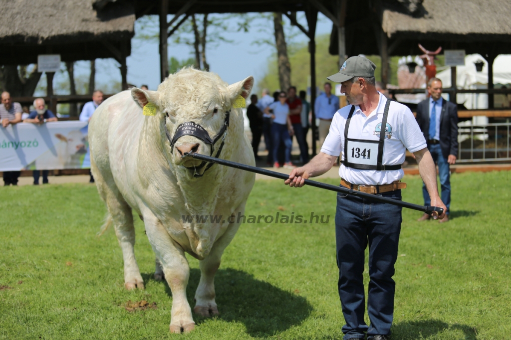 Hódmezővásárhely 2022