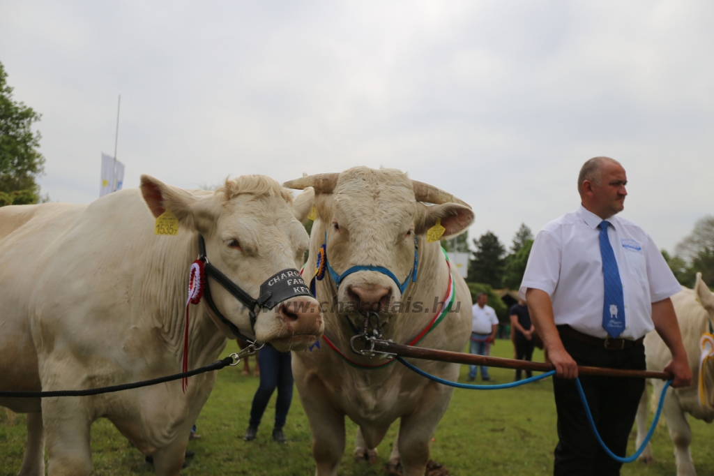 Hódmezővásárhely 2022