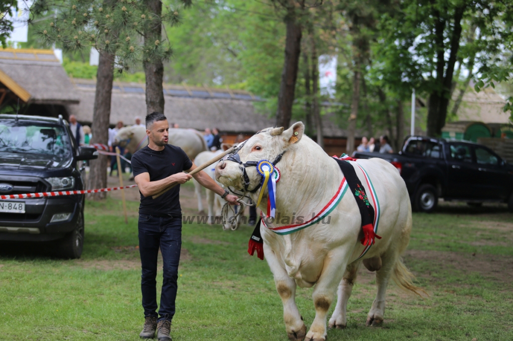 Hódmezővásárhely 2022