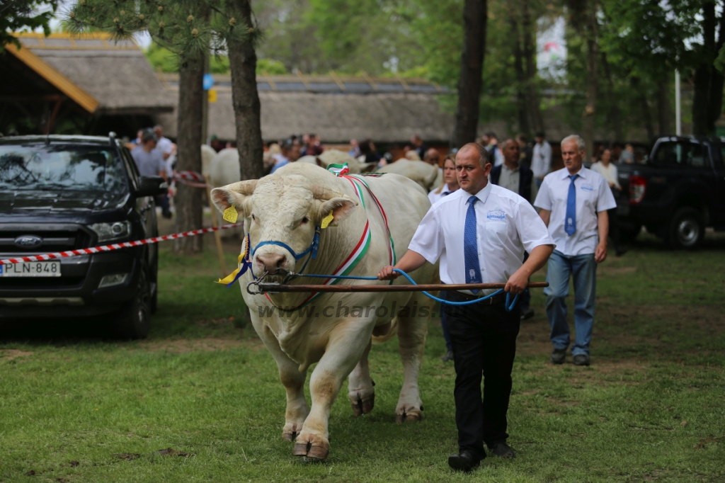 Hódmezővásárhely 2022