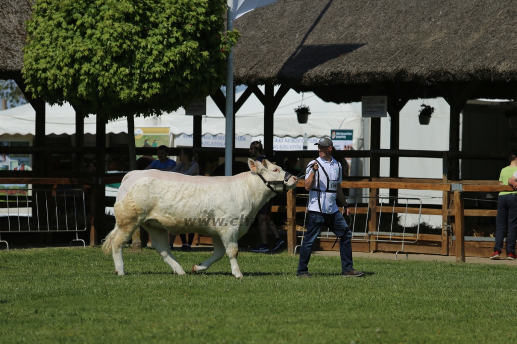 Hódmezővásárhely 2022