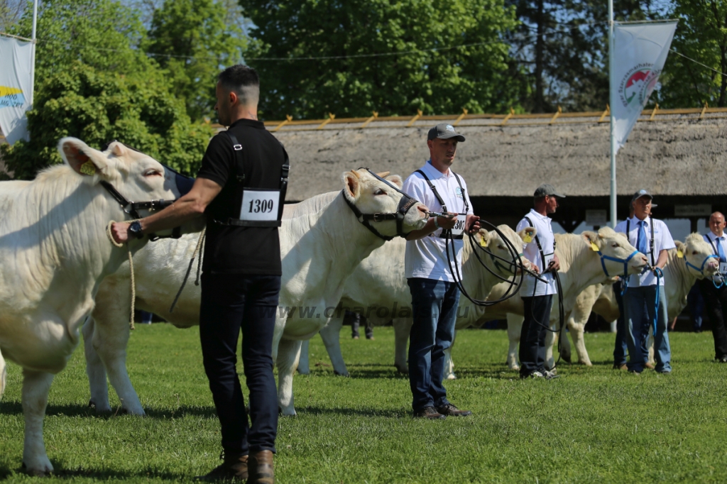 Hódmezővásárhely 2022