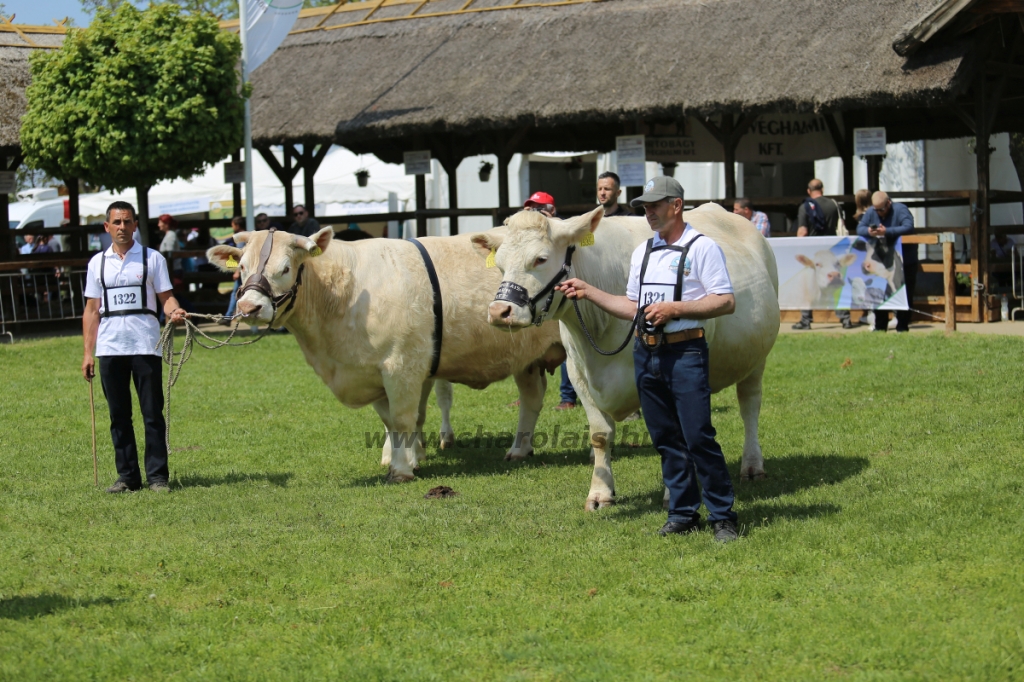 Hódmezővásárhely 2022