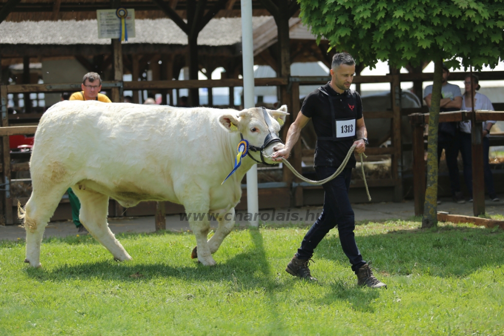 Hódmezővásárhely 2022