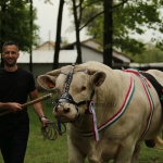 Hódmezővásárhely 2022