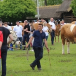 Hódmezővásárhely 2022