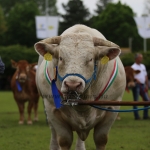 Hódmezővásárhely 2022