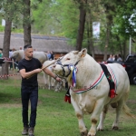 Hódmezővásárhely 2022